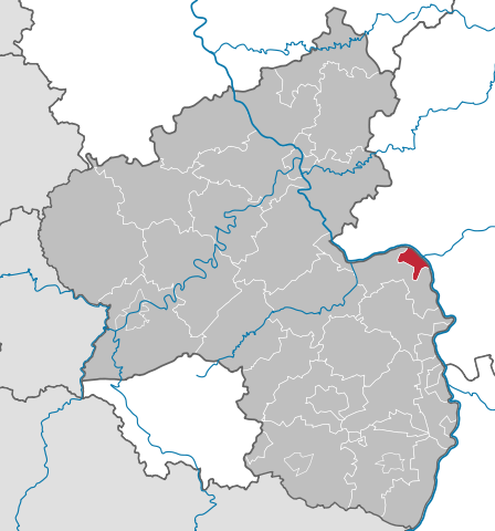 Fachgerechte Schädlingsbekämpfung in Mainz